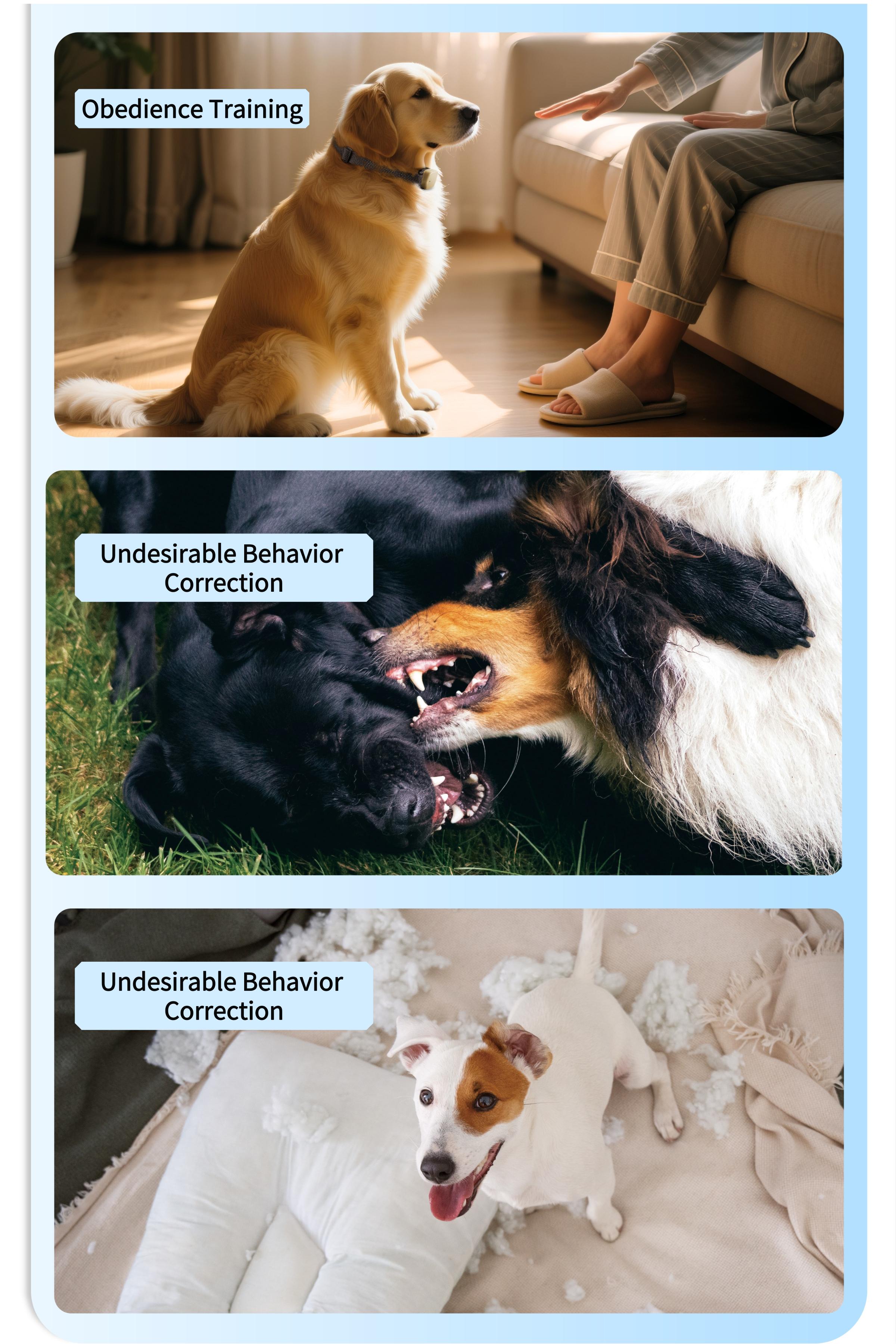 Luckymyth - Dog Training Collar  Leash – 3200ft remote control- built-in light- IP67 waterproof- magnetic charging- 30 static levels + 10 vibration/sound modes-fits dogs 10–120 lbs- integrates both leash and training capabilities-Handles two dogs at once