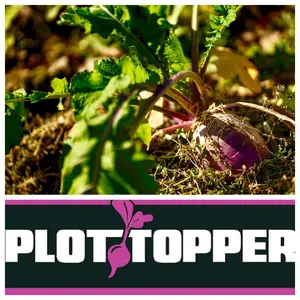 Real World’s Plot Topper – Premium Fall Top-Dress Blend
