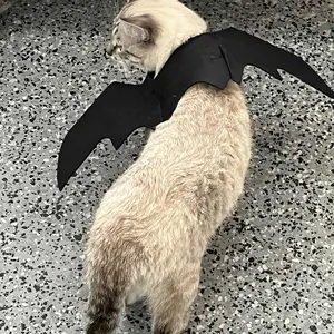Bat Wings Cat Costume, Adjustable Pet Outfit for Indoor and Outdoor Parties, Halloween or Valentine's Day Dress-Up for Cats and Kittens #GLOBAL PICKS