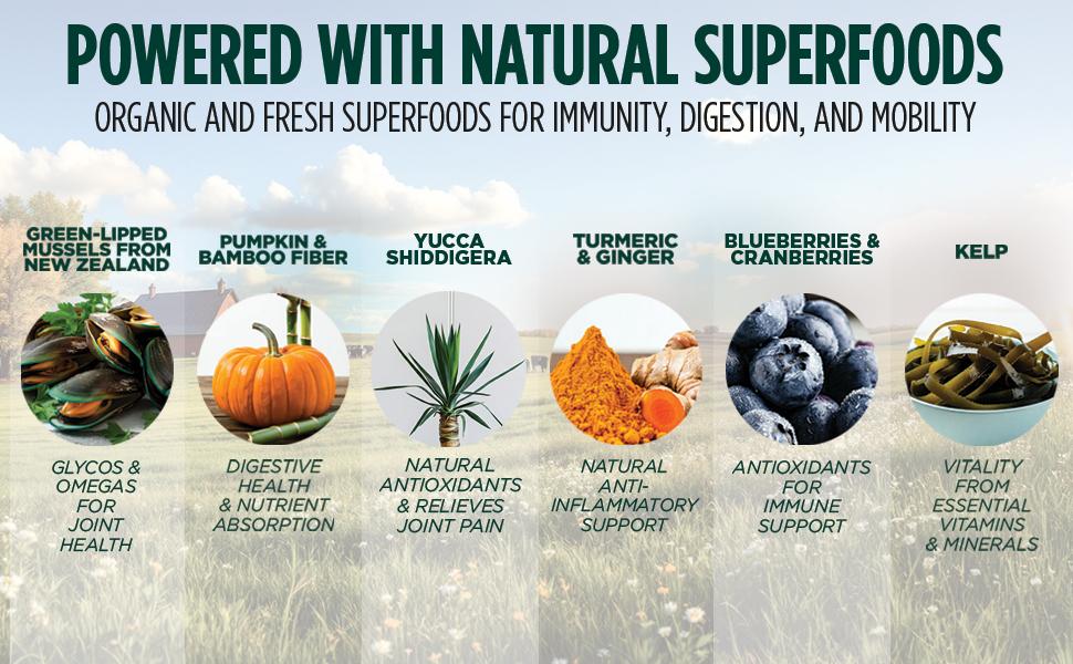 ZEAL Salmon & Duck Air-Dried Dog Food | 1lb Pack | Expires June & Nov 2026 | Grain-Free, High Protein, Healthy Joints & Coat