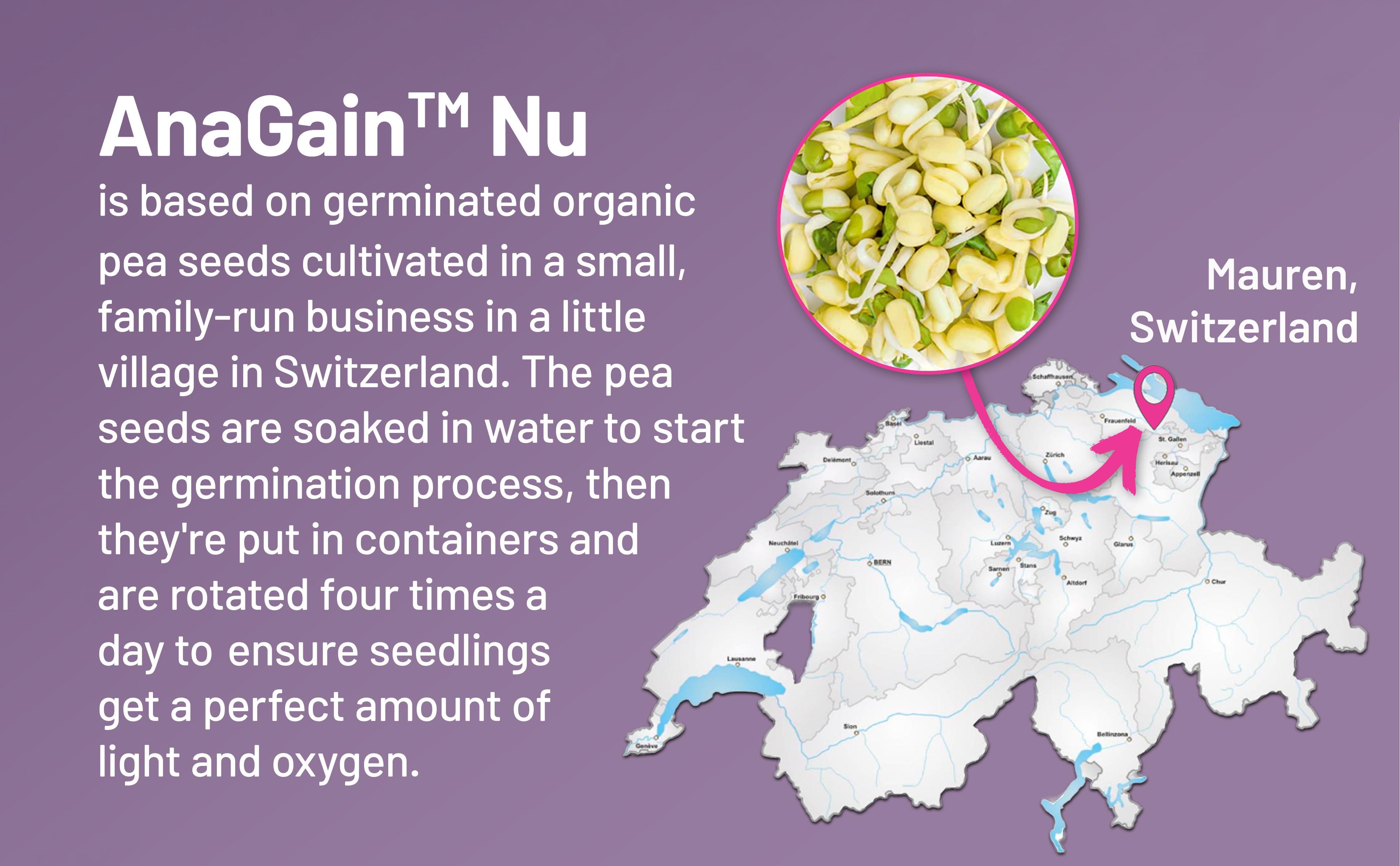NatureWise Hair Growth Plus - Hair Growth Supplements Women & Men - With Clinically Tested AnaGain Nu + No Biotin - Sugar Free & Vegan - Pistachio Caramel Flavor - USA Manufactured
