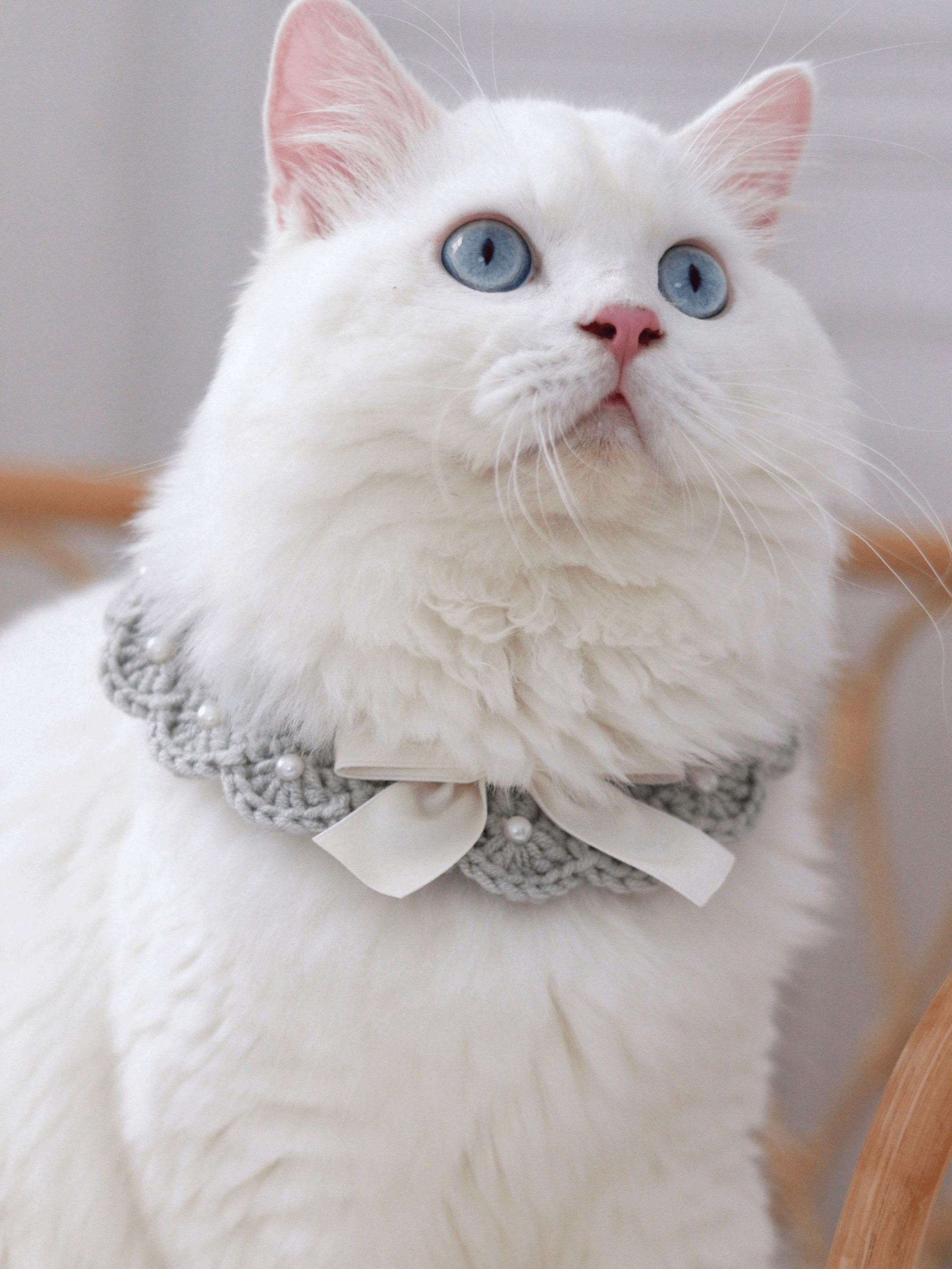 Handmade Crochet Cat/Dog Collar with Ivory Bow & Pearl Adjustable Handmade Crochet Cat/Dog Collar with Ivory Bow & Pearl Adjustable