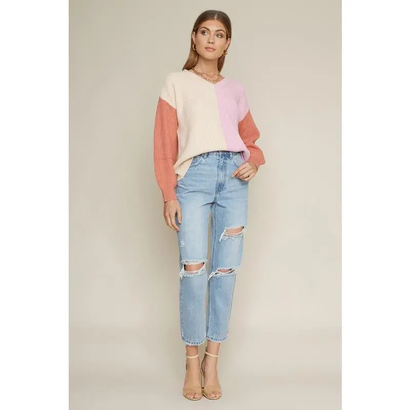Terra Cotta- Multi Color Long Sleeve Knit Sweater