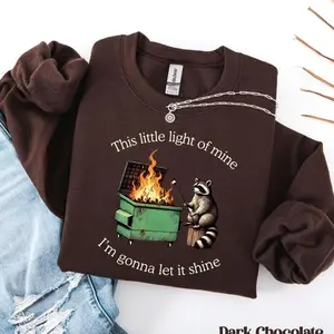 Funny Parody Sweatshirt: Dumpster Fire Raccoon Hoodie/T-shirt/Sweatshirt, Mental Health Tee, This Little Light of Mine Shirt, Trendy Tee