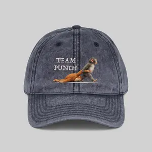 Team Punch Hat, Baby Monkey Punch Cap, Gift For Anime Fans