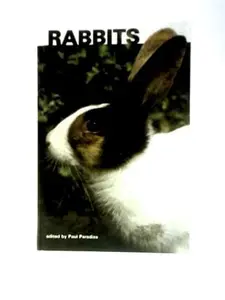 USED-Rabbits by Paul Paradise (Hardcover)