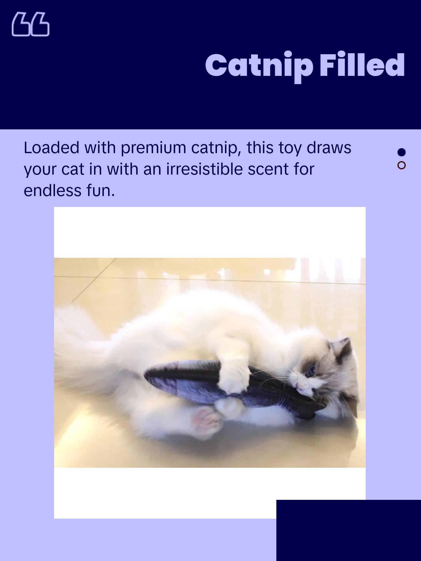 Creative Fish Shape Pet Toy