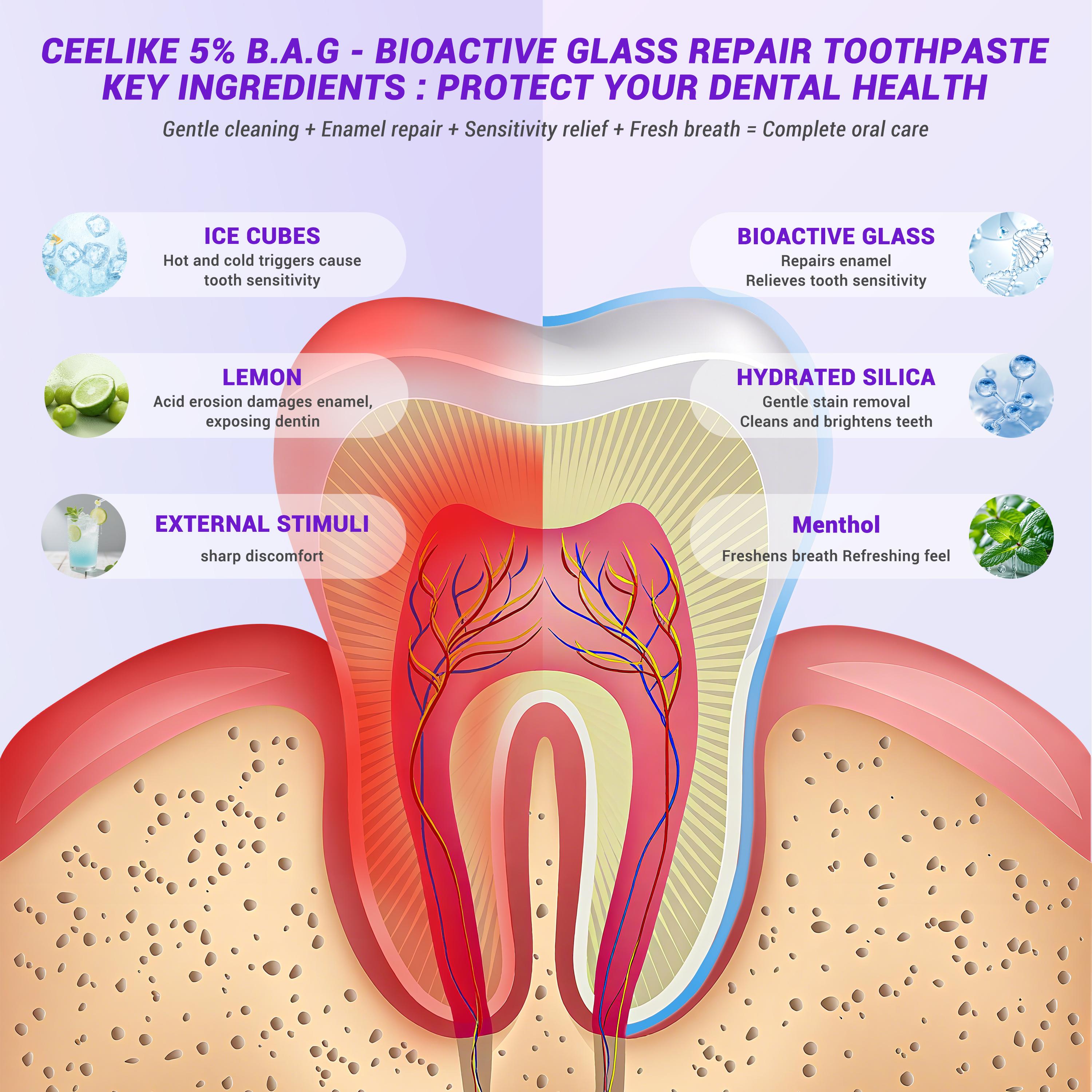 Ceelike Toothpaste & Toothbrush Combo Set, High-Efficiency Cleaning, Essential Oral Care Kit for Family