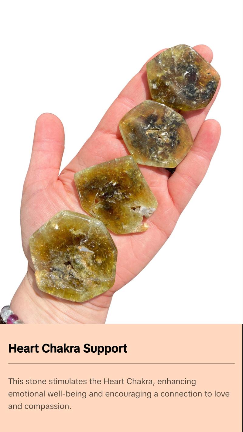 New Moon Beginnings Green Garnet Stone Slice - Natural Green Color, Round Shape, Ideal for Gem Collecting