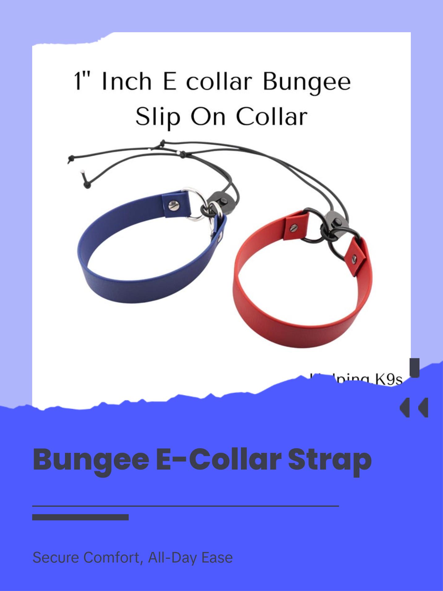 E-Collar Bungee Strap – 1" BioThane® Replacement Collar for Dogtra, Garmin & E-Collar Technologies, Waterproof & Handmade in USA
