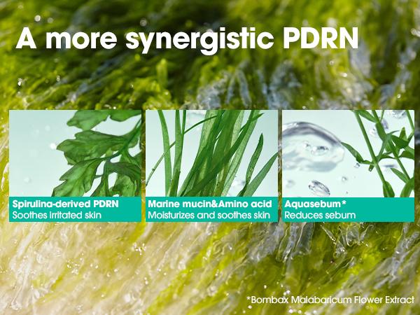 PDRN Spirulina Poreless Primer 10g – Makeup Stick for Oily Skin Control - Providing Smooth and Shine-Free Finish - Korean Skin Care