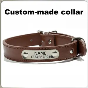 Dog collar, pet ID tag, anti-lost tag, cat necklace and leash set. phone number training