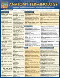 Anatomy Terminology Reference Guide: For Use with Anatomy Reference Guide -- Kate McPike, Poster
