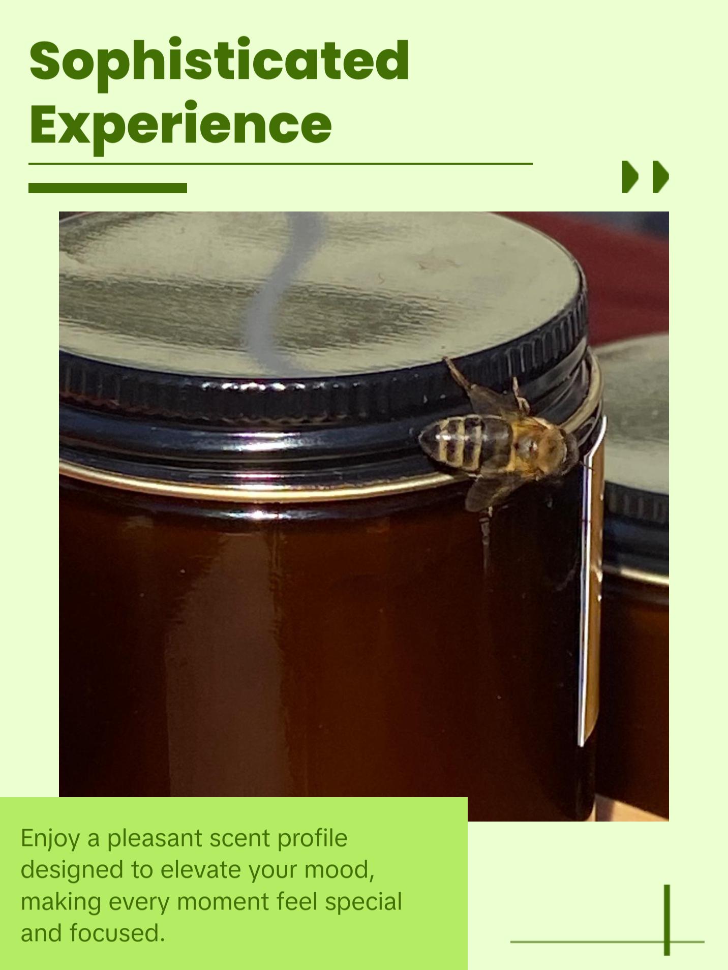 Camp Kush | Grounding & Herbal Beeswax Coco Crème Candle