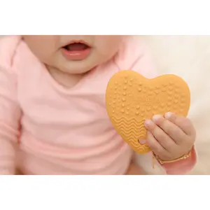 Concha Teether