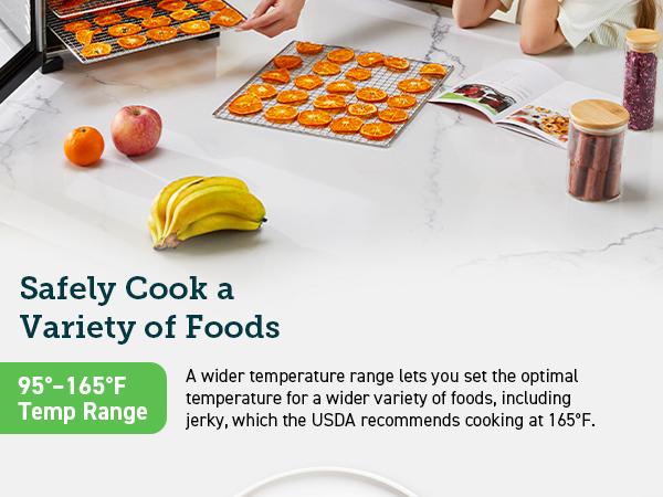 COSORI Food Dehydrator for Jerky, 600W, 6 Stainless Steel Trays, 48H Timer, 165°F Control, 6.48ft² Drying Space, Herbs, Meat, Fruit, and Yogurt