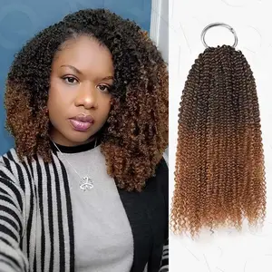 QVR Afro Kinky Curly Ombre #T2/30 Human Crochet Hair Afro Kinky Curly Machine Made Feather Crochet Hairstyle