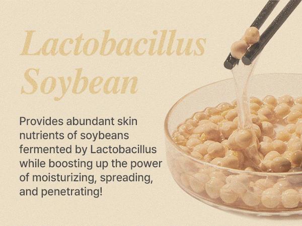 [mixsoon Official Shop] Soybean Milk Pad 10EA - Korean Facial Toner Pads for Glass Skin