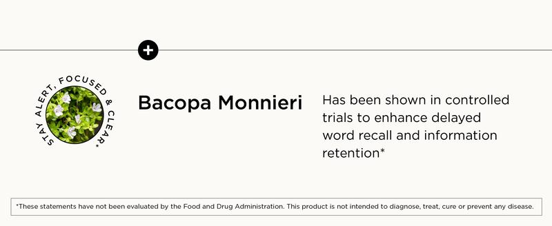 Brain Supplements for Memory & Focus | Nootropic with Bacopa Monnieri, Ginkgo Biloba & Rhodiola | Caffeine-Free Mental Clarity & Cognitive Support | 30 Capsules