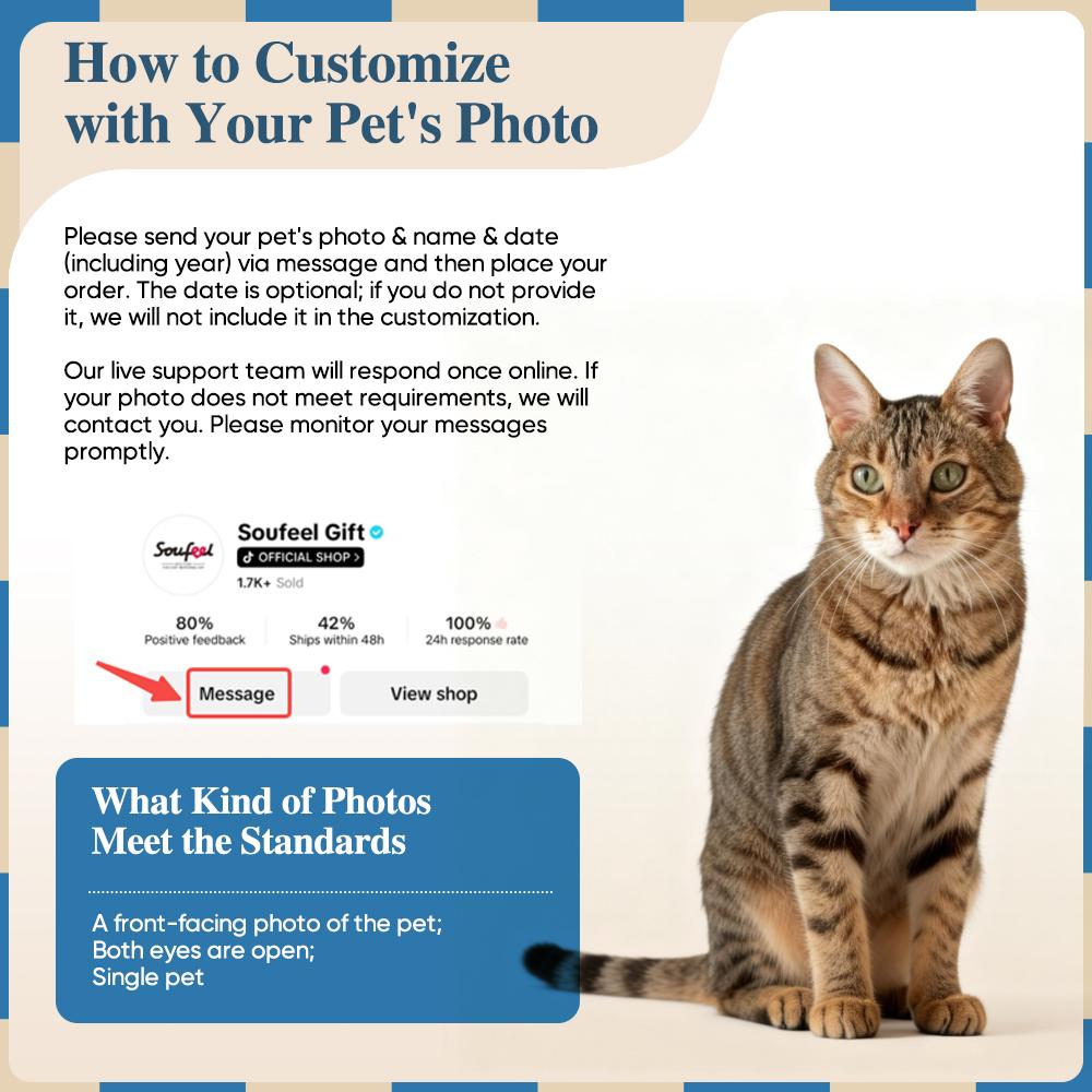 Pet Holographic Lumina Boxes For Cats, High-Transmittance Holographic Material Image DIY Pet Holographic House