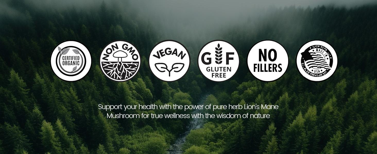 NOORUZ Lion's Mane 900mg - Brain Booster: Focus, Cognitive Boost & Mood Support - With Blueberry Antioxidant Healthcare Bathroom NOORUZ Lion's Mane 900mg - Brain Booster: Focus, Cognitive Boost & Mood Support - With Blueberry Antioxidant Healthcare Bathroom