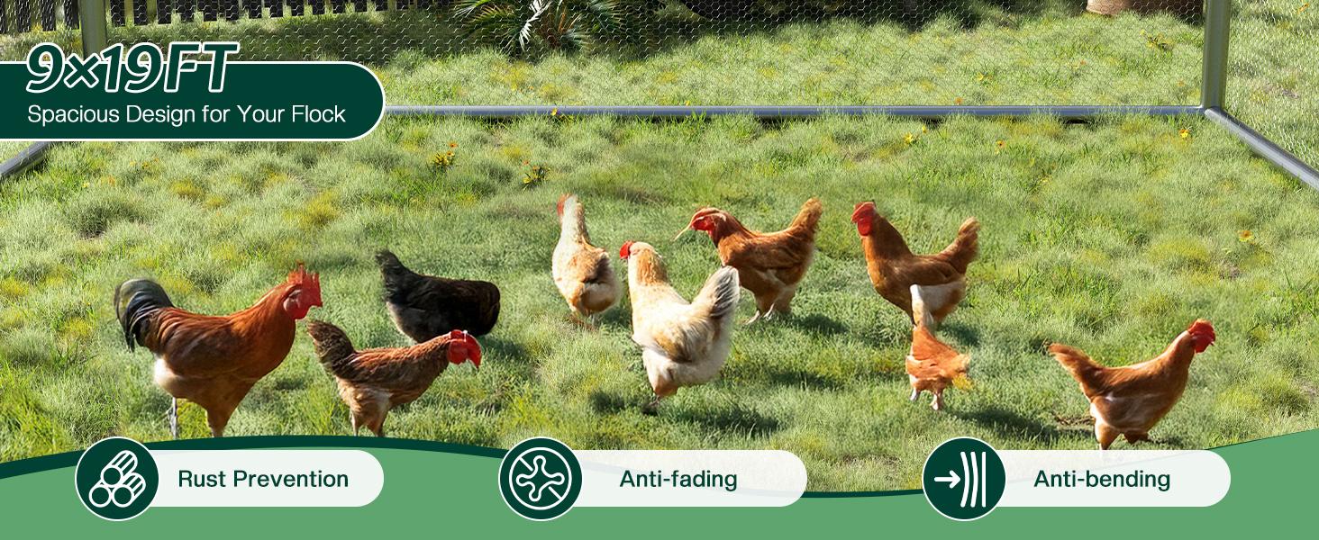 VanAcc Large Chicken Coop with Perch and Hinged Door, Spire Roof Walk-in Chicken Run with Metal Frame and PE Cover for Backyard Poultry, Ducks, Rabbits