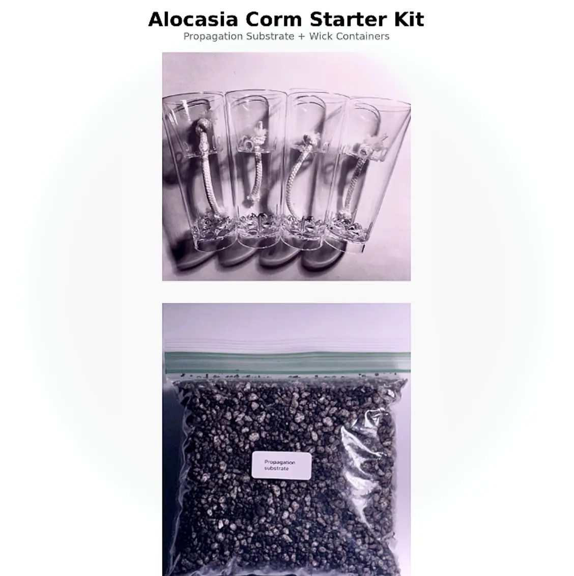 propagation medium bundle