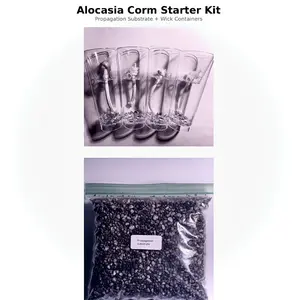 propagation medium bundle