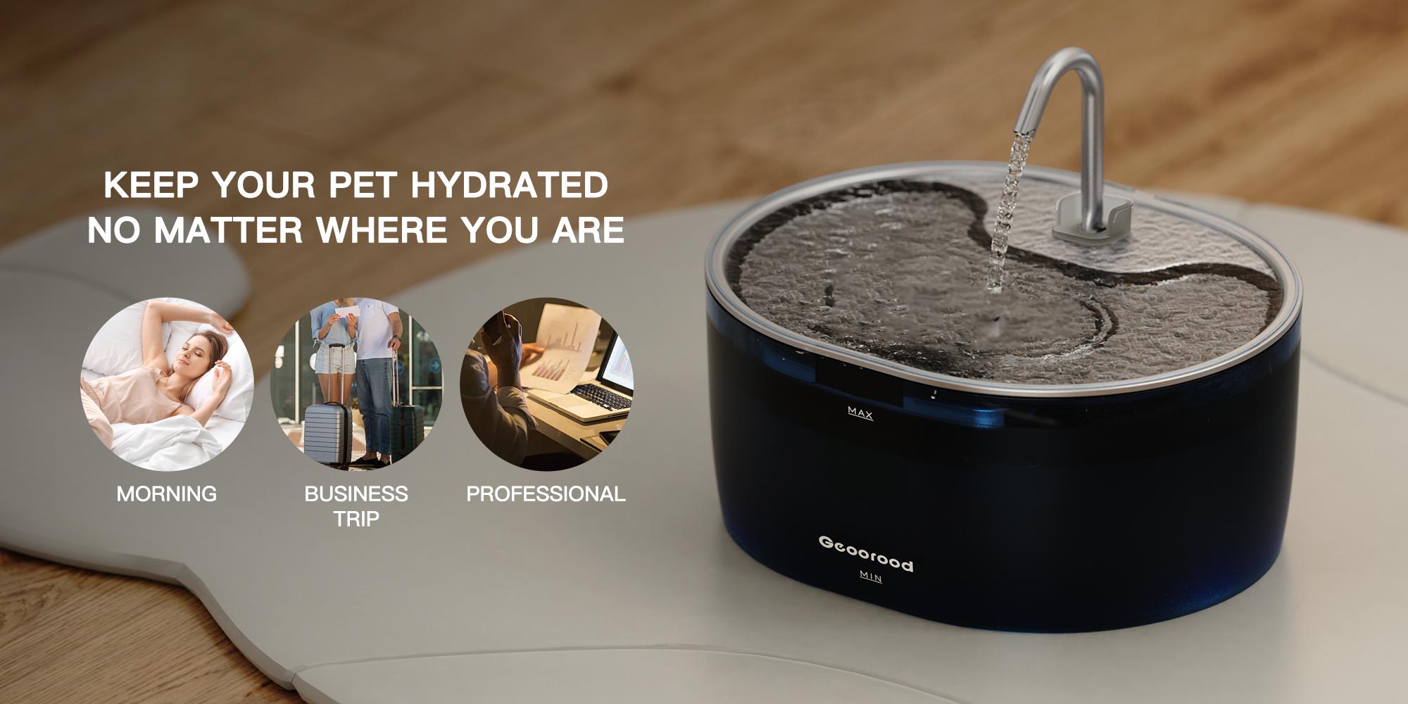 【Geoorood】3.2L Cat Water Fispenser, suitable for small dog  medium and large cats, 14 days of drinking water, 304 stainless steel, dishwasher safe