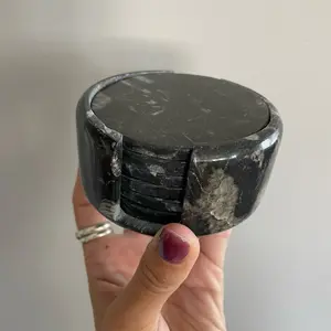 Fossil in Marble Coaster Set