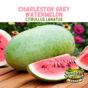 Heirloom Watermelon Seed Mega Variety Bundle – 8 Types