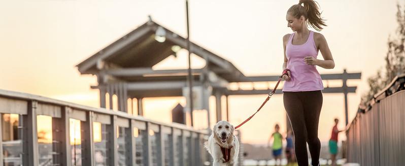 FitVille Women's Cloud Wanderer V8 running shoes sneaker shoes Runner