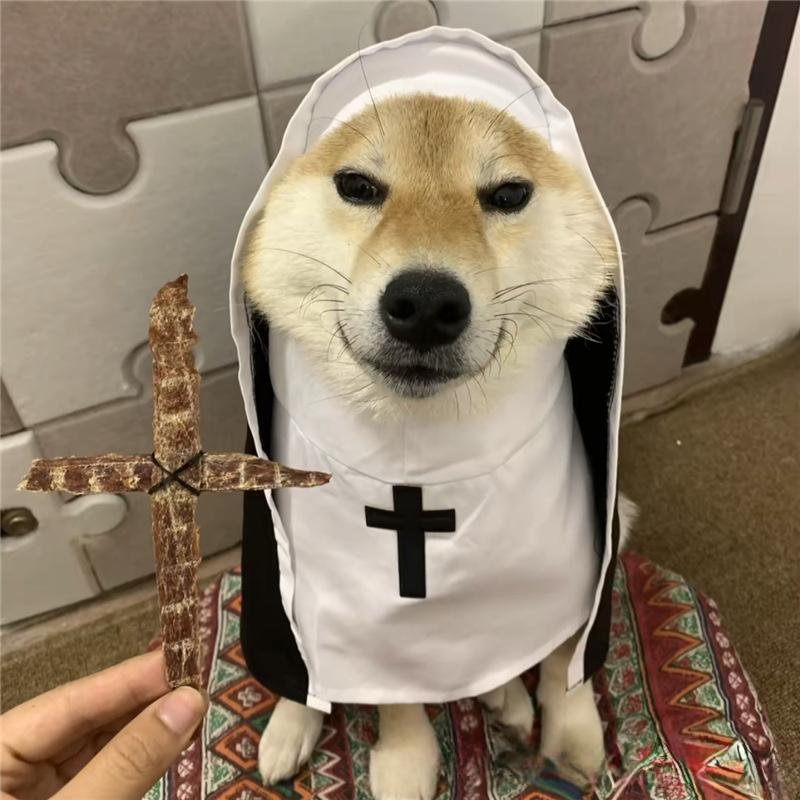 New Year Nun clothes cats and dogs disguise funny COS small and medium pet photo props cat funny costumes