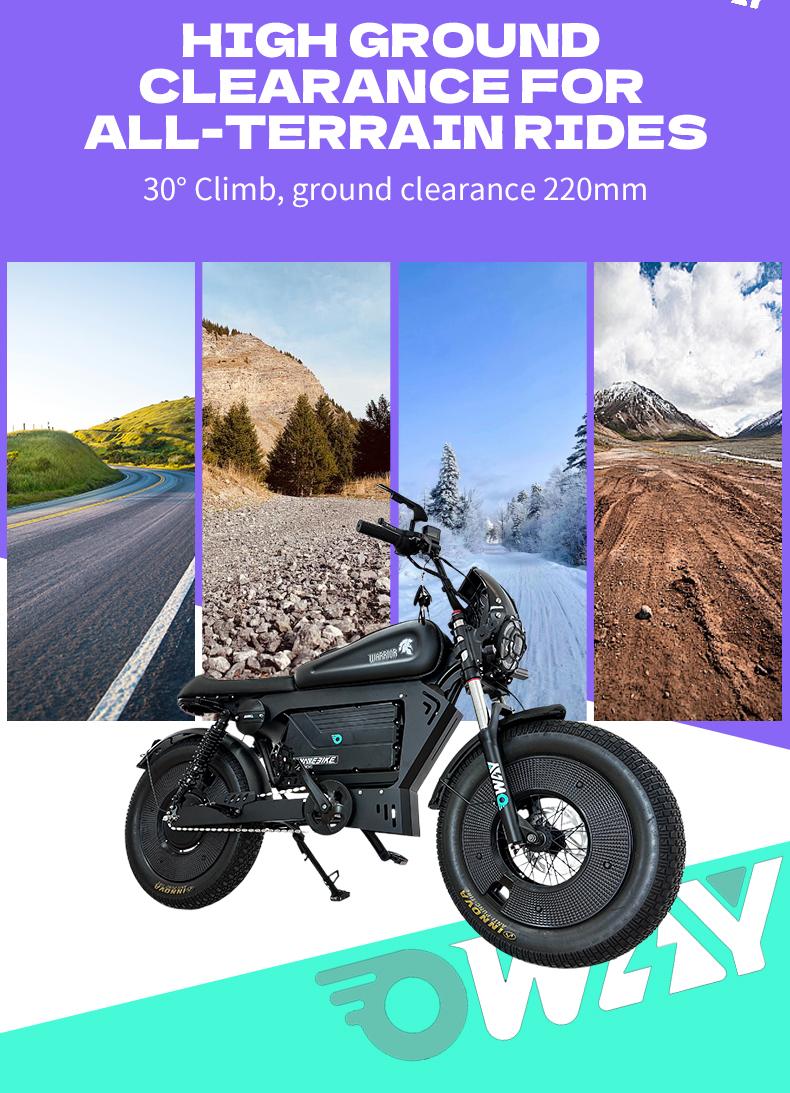 OWAY Black Warrior electric bicycle sk-1 ultra 3000W 60v 50ah High Speed Long Range 62mile high fatebike