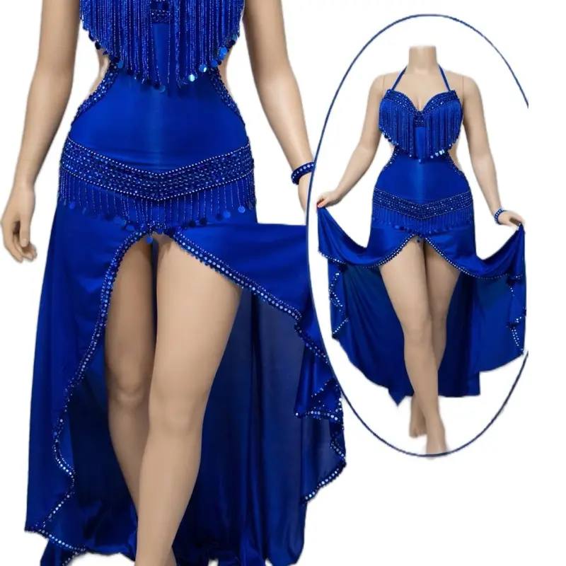Women's Sleeveless Sequin Fringe Dance Dress, Royal Blue Performance Wear for Latin, Salsa, and Tango Dance Enthusiasts, Sporty Dancewear & Dance Costumes