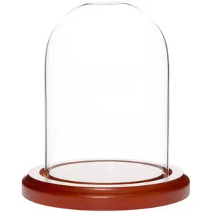 Plymor 3" x 4" Glass Display Dome Cloche