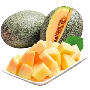 50 Cantaloupe Seeds Pack – Sweet Melon Seeds for Backyard Garden and Outdoor Growing, Seeds Only