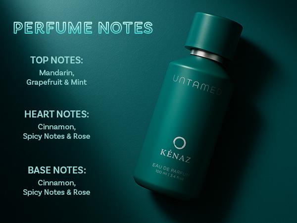 KENAZ AROMATIC ARTISTRY UNTAMED | Men's Fragrance | Perfume for Men | Aquatic top note | 100 ml pack | 3.4 Fl. Oz. | Fresh, Aromatic, and Fougere fragrance | Gift for Men | Eau de Parfum EDP