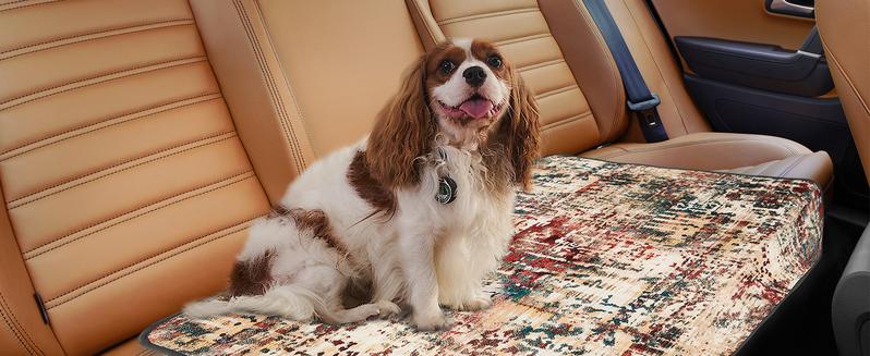 Qeils 36"x41" Washable Puppy Pee Pads | Super Absorbent, Waterproof & Reusable Non-Slip Training Mat for Floor/Crate Pet Supplies Poodle Dogs