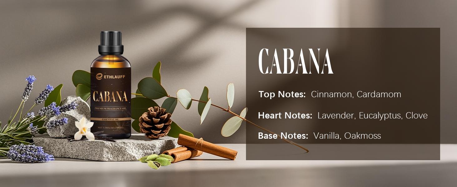 Ethlauff 3.5 fl oz Diffuser Oil For Humidifiers - Luxury Aromatherapy Scent Essential Oil - My Way, Ritz Carlton, Baccarat, Hints of Bright White Tea, Earthy Cedar, Hotel Fragrance Oil for Home, Home Care, Fragrance & Natural Scented Essential Oil