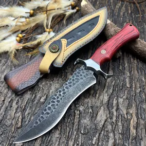Damascus outdoor survival knife, sturdy and durable, fishing knife, outdoor camping knife, hiking knife in the wild, with exquisite knife case, easy to carry, recommended as a gift for men