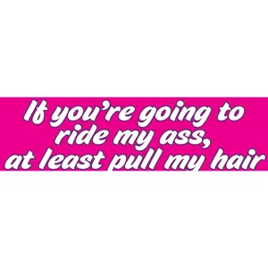 "Ride My Ass Pull My Hair" Prank Gag Magnetic Bumper Car Magnet Sign - USA Made