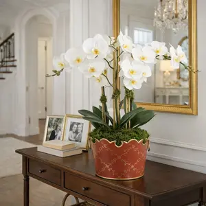 53Pcs Orchid Seeds Perennial Indoor Outdoor Plants Easy Grow Bonsai Cold Heat Resistant Everblooming Flowers for Home Garden Planting