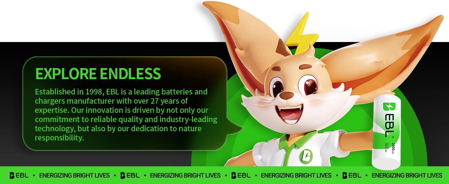 EBL Ni-MH AA AAA Rechargeable Batteries Combo