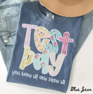 Comfort Colors Test Day Shirt, Teacher State Testing T-Shirt, Testing Coordinator Life Shirt, Inspirational Tee Short Sleeve, Funny Graphic Tee