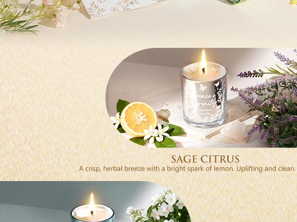 Mayicivo 3-Pack Soy Scented Candles, Home Fragrance Votive Candles, Festive Holiday Gifts for Women (Christmas, Birthday Presents for Mom, Friends) Mayicivo 3-Pack Soy Scented Candles, Home Fragrance Votive Candles, Festive Holiday Gifts for Women (Christmas, Birthday Presents for Mom, Friends)