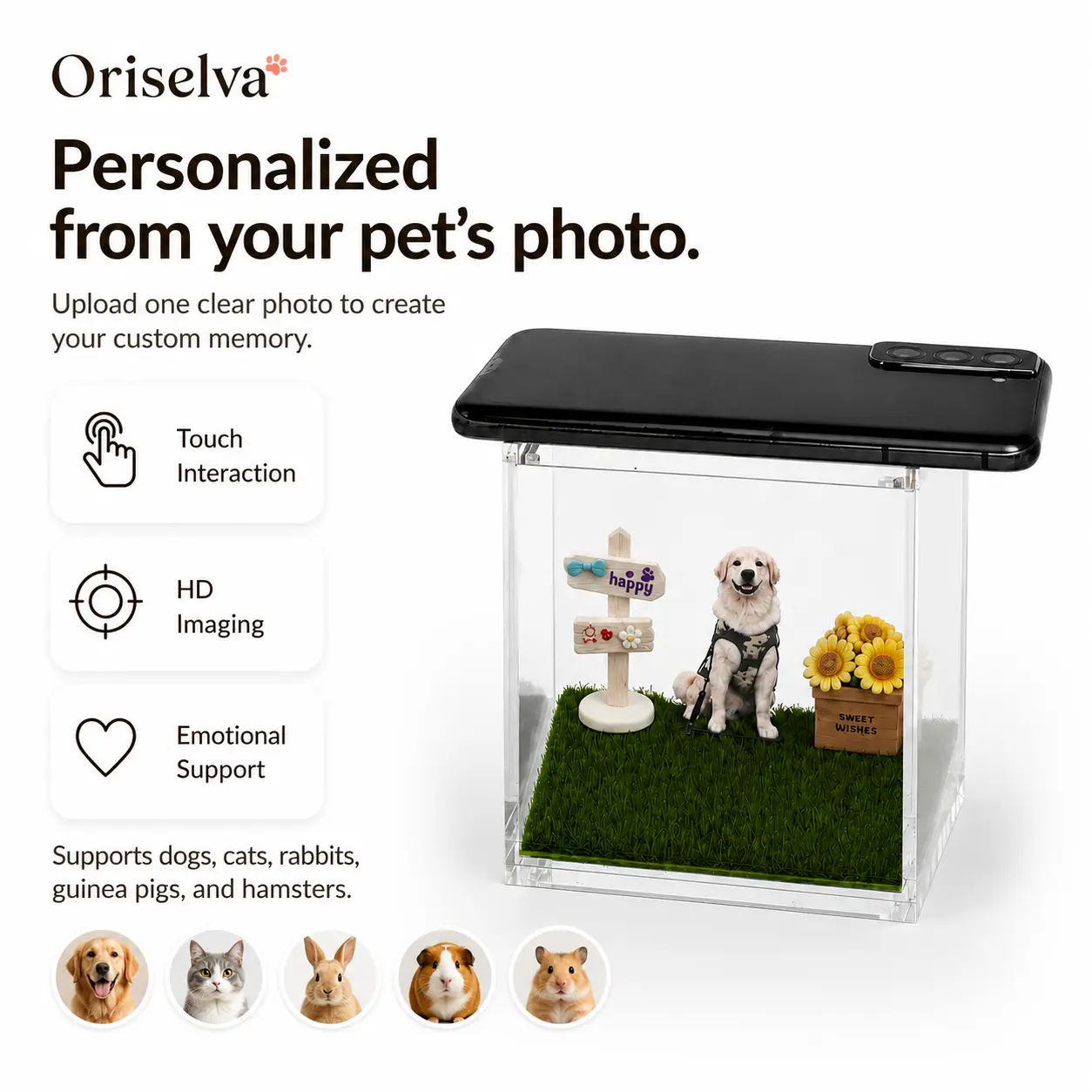 Personalized Pet Memorial Photo Display Box - Customizable Desk Remembrance Keepsake, Home Decor Memorial Gift for Dog Loss Sympathy