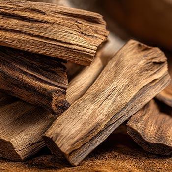 NEW Elizabeth Arden Eternal Aura Eau de Parfum | Floral Amber - Sandalwood, Magnolia, Rose-Ambrette Fragrance