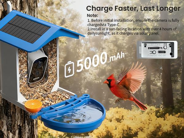Smart Bird Feeder with Camera Series – AI-Powered, Solar, 2K/2.5K HD, Auto-Bird ID, Motion Alerts, Perfect Gift for Bird Lovers