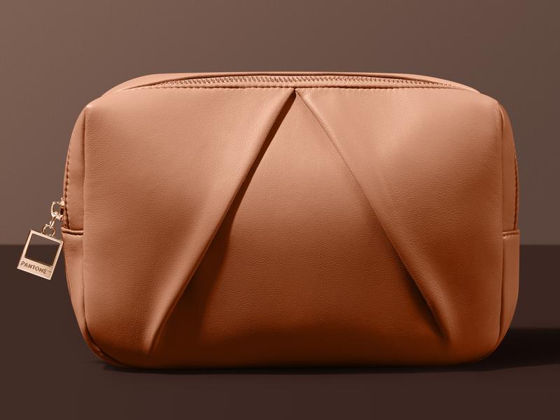Makeup Bag IPSY x PANTONE